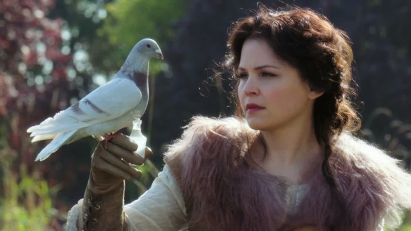 James's carrier dove/pigeon (S01E10)