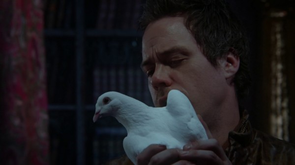 Neal sends the Pigeon with Memory Potion to Hook (3x19 A Curious Thing)