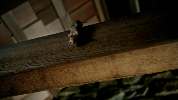 Once Upon a Time 2x04 The Apprentice - The apprentice as a mouse