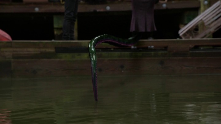 Once Upon a Time 4x16 Poor Unfortunate Soul - Ursula dips tentacle in the water