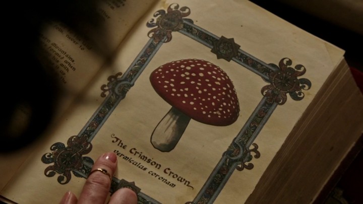 Once Upon a Time 5x03 Siege Perilous - Toadstool Crimson Crown page