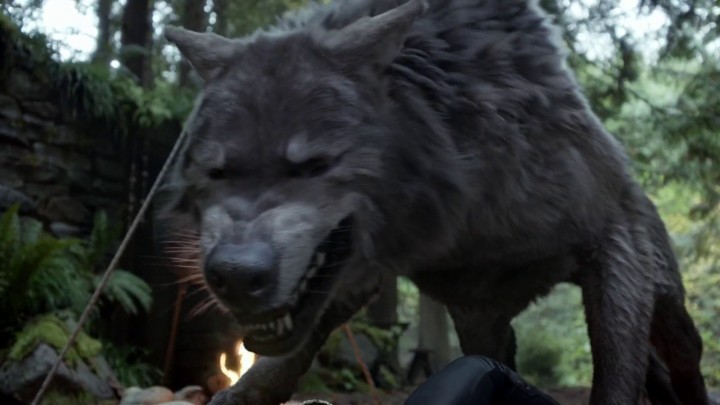 Once Upon a Time 5x09 The Bear King - Wolf Ruby